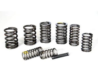 Engine Valve Spring