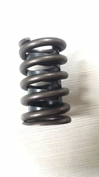 engine valve spring1