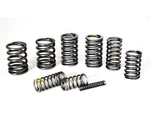 Engine Valve Spring